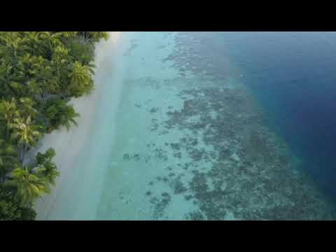 Radiomatik & Spekt3r - Summer Life (Original Mix)