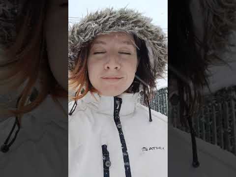 Nieva en San Martin de los Andes