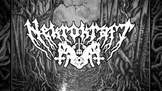 Cover art for Will o wisp