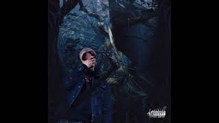 Yung Woods - Roses &amp; Daffodils (Official Audio)