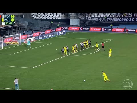 Gol do Murilo - Botafogo 3 a 4 Palmeiras - Virada Histórica