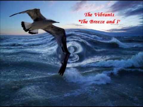 The VIBRANTS - The Breeze and I