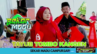 Download lagu PAMBUKO-TOMBO KANGEN CAMPURSARI SEKAR MADU mp3