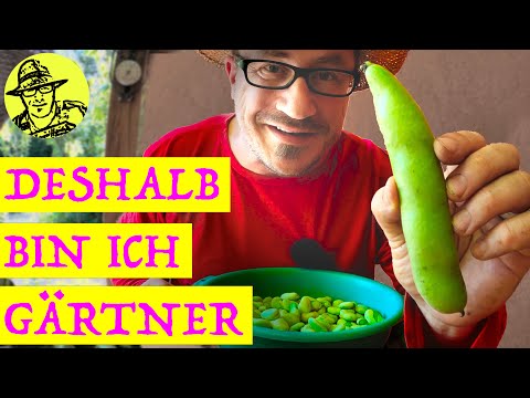 Großer Gartenrundgang Juli 2021: Schneckenplage, Dicke Bohnen, Knoblauch und die Baby-Ringelnatter