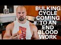 BULKING CYCLE COMING TO AN END | BLOOD WORK