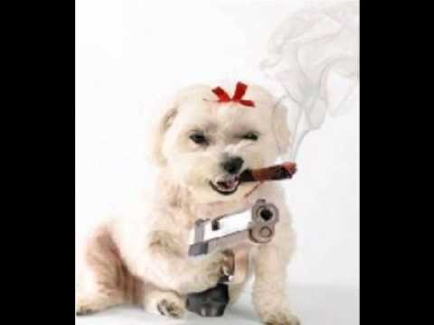 Bandit Blacks - Hit The Deck Ft.S.Samuel (prod. by Charli Brown)