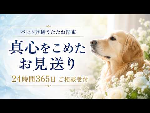 ペット葬儀うたたね関東のご案内動画のサムネイル