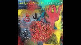 David Kilgour &amp; The Heavy 8s-  Comin´On