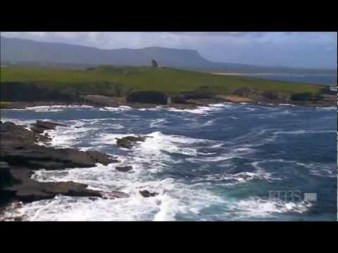 ZZ & DE MASKERS La Comparsa