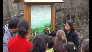 preview picture of video 'Merenda senza rifiuti In foresta'