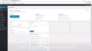 Adding a SnapWidget Instagram widget to your Wordpress website using the Twenty 