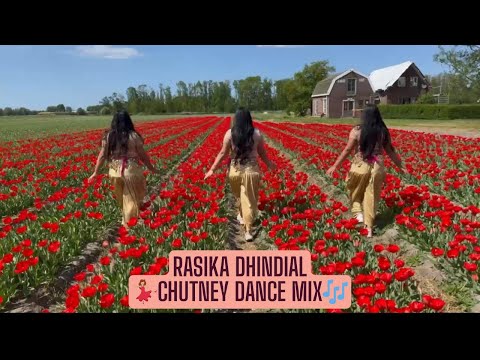 RATIYA | GULARIE KE PHOOL | LAZY MAN | MORE BALAM | CHUTNEY QUEEN RASIKA DHINDIAL DANCE COVER MIX