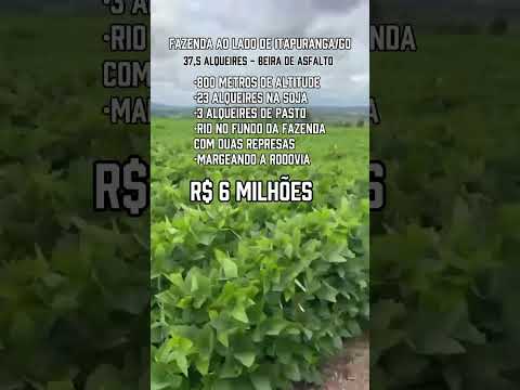 37.5 alqueires em Itapuranga-Go/ whatsapp 62 99373-6407