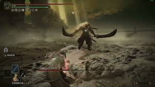 Re: [法環] 你們都怎麼過DLC最終BOSS的？