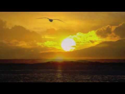 SillySil - lounge mix