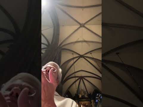 Predigt von Prof. Dr. Dr.  Matthias Beck zu 1700 Jahre Konzil von Nicäa im Wiener Stephansdom