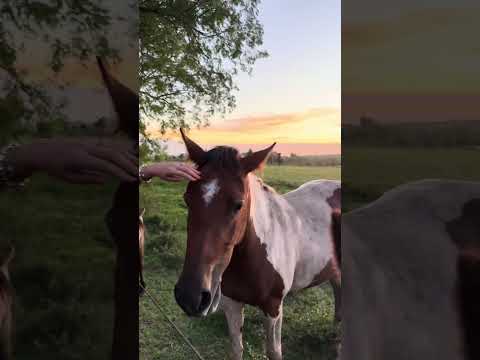 Our first day in Paysandú, Uruguay!