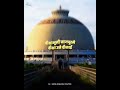 Dhamma Chakra Pravarthan Day Status 2022 Jai Jai Bhim Baba Jai Jai Bhim Song Status Jaibhim