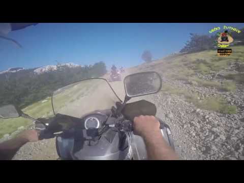 326.DEČKI ŽUTNICE - Velebit 2016.