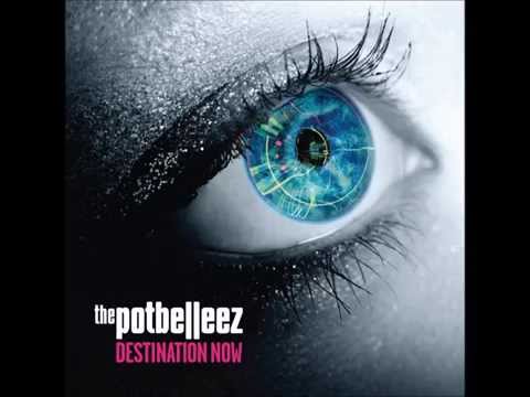The Potbelleez - Shake It