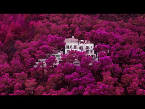 RAF Camora feat. Luciano – 2CB