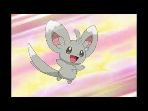 Should Minccino Get An Official Mascot Costume From The Pokemon Company? #mascotcostume