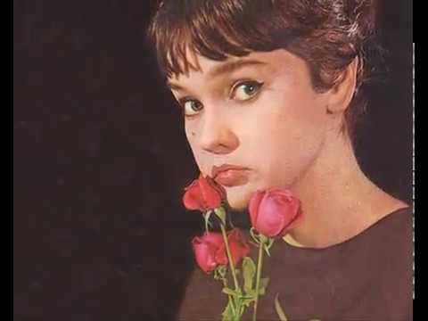 Margareta Paslaru - Trandafirii tai