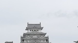 ホモ