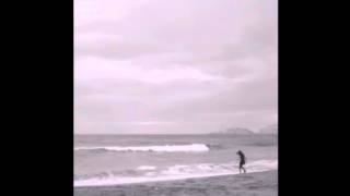 Dead White Tulips - Is It real