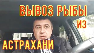 Количество крючков для рыбалки в астраханской области