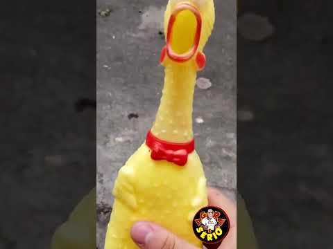 FOFOQUEIRA DA CIDADE QUE DEU CERTO APOSTA DE 5 MIL REAIS QUEM VAI GANHAR.
