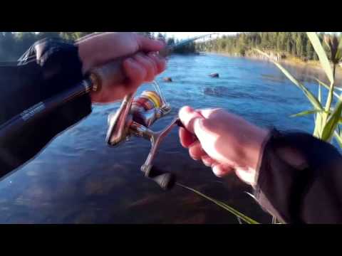 Kymijoki, Lappakoski 23.8.2015