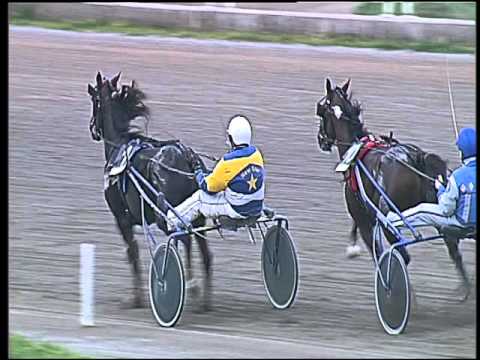 Trotto 01/04/2016 - 8° Corsa  SUPERTRIS