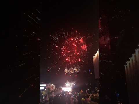 Encendida árbol  de San Martín/  Plaza Salvador del.mundo.✨️