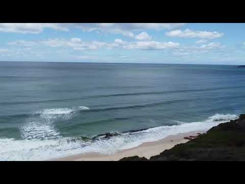 Eden the pinnacle 2 2026