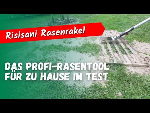 Der Rasenrakel von Risisani im Test