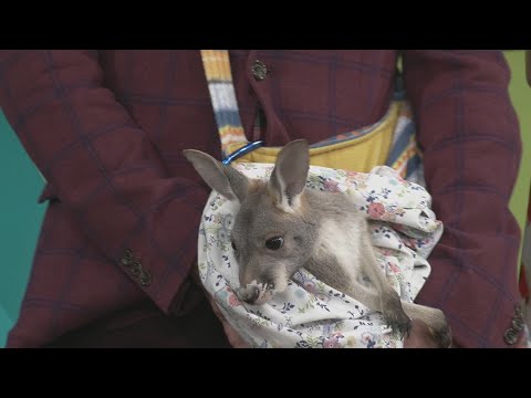 9th Annual Outdoorsman Expo - YouTube
