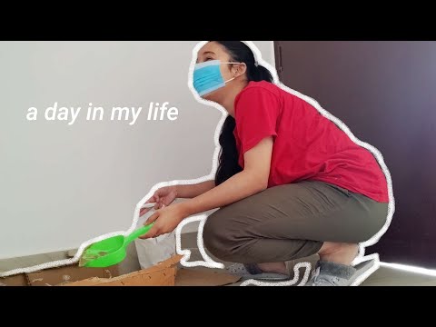 first day as a youtuber