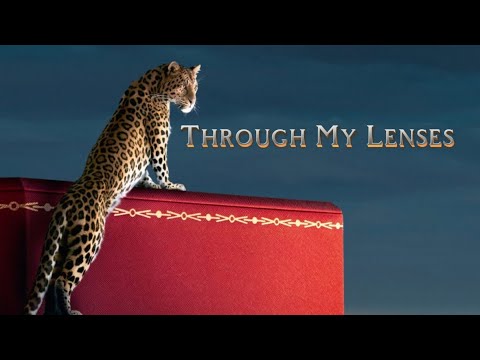 Video thumbnail dBvtjZW-5Eg