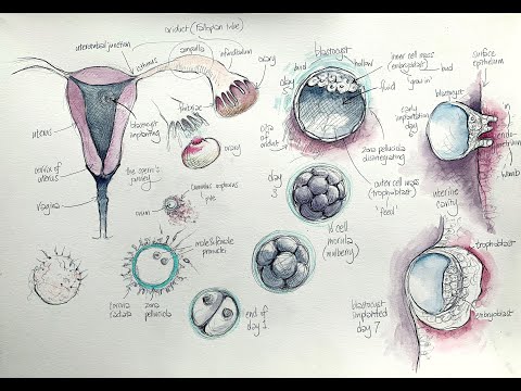 YouTube video