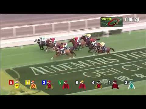 Horse riding  winning  pakistan