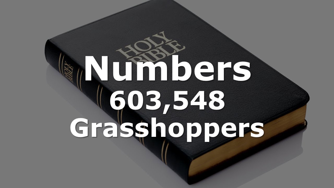 Read Through the Bible: “603,548 Grasshoppers”