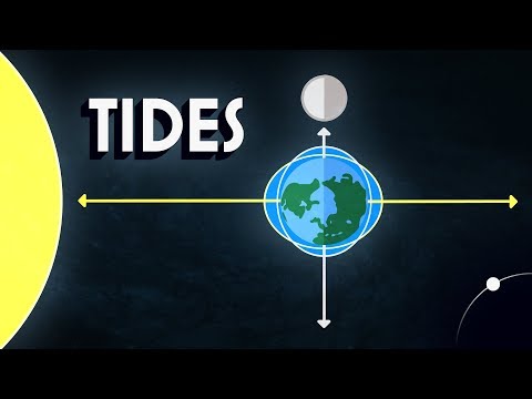 Neil deGrasse Tyson Explains the Tides