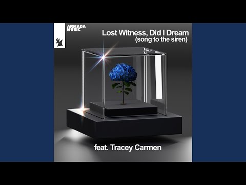 Did I Dream (Song To The Siren)