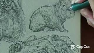 【Hippo Study】  --------------- Cut