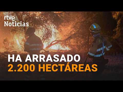 L'incendi de Leciñena continua fora de control després d'arrasar 2.200 hectàrees