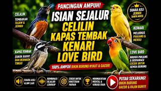 Download lagu isian sejalur yang sering dinilai tinggi juri mp3 Download lagu isian sejalur yang sering dinilai tinggi juri mp3