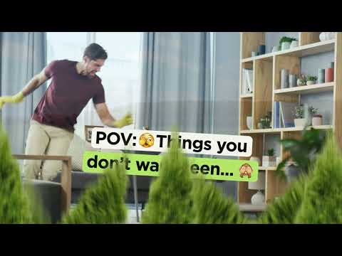 家中適合的盆栽