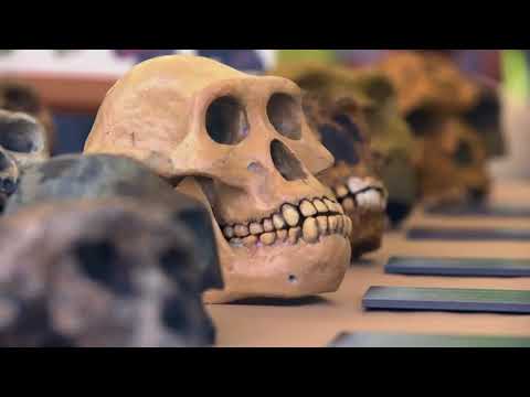 Découverte | Grotte de Néandertal