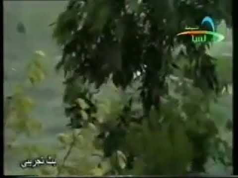 عايزة معجزة فيديو كليب _ وردة الجزائرية _